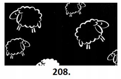#208